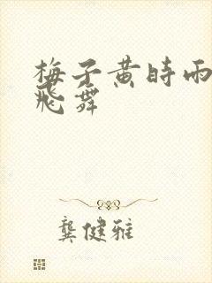 梅子黄时雨流光飞舞