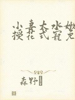 小妻太水嫩陆教授花式宠免费阅读视频
