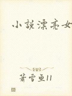 小说漂亮女局长