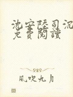 沈安陆司沉小说免费阅读