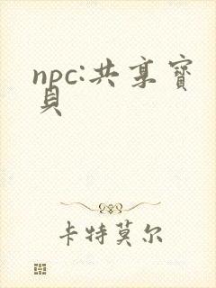 npc:共享宝贝