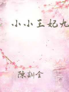 小小王妃九岁半