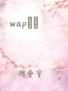 wapС˵