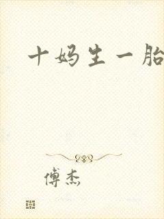 十妈生一胎