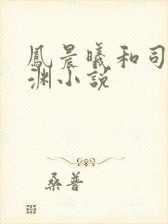 凤晨曦和司鸿颜渊小说