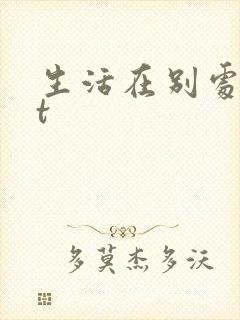 生活在别处txt