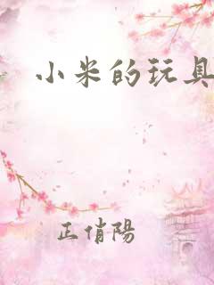 小米的玩具日记