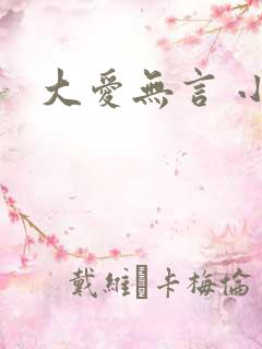 大爱无言 小说