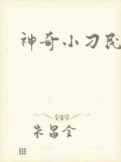 神奇小刁民