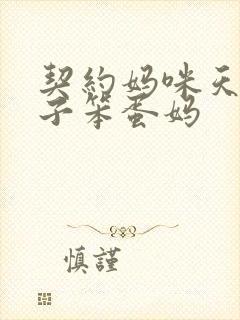 契约妈咪天才儿子笨蛋妈