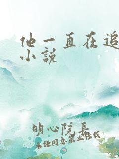 他一直在追初恋小说