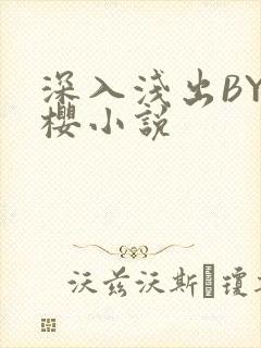 深入浅出BY胖樱小说