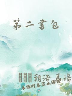 第二书包