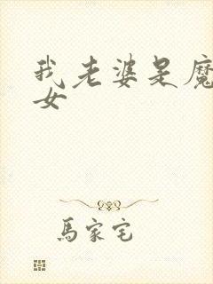 我老婆是魔法少女