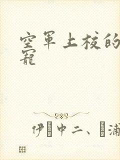 空军上校的邪魅宠