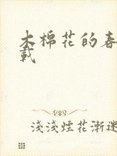 木棉花的春天下载