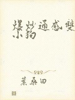 爆炒通感双胞胎小狗