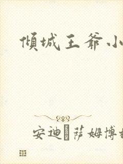 倾城王爷小小妃