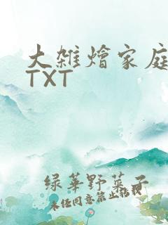 大杂烩家庭小说TXT