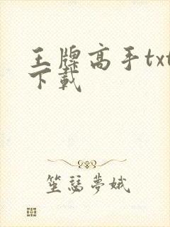 王牌高手txt下载