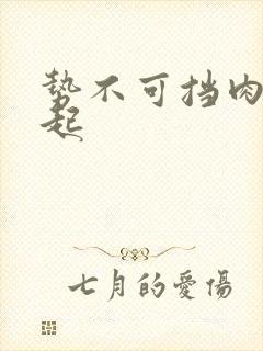 势不可挡肉到飞起