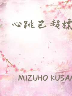 心跳已超标小说