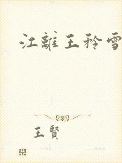江离王矜雪小说