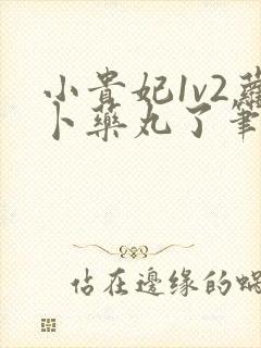 小贵妃1v2萝卜药丸了笔趣阁