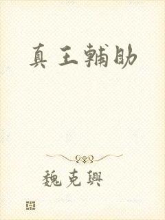 真王辅助