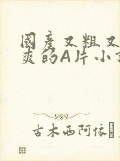 国产又粗又黄又爽的A片小说