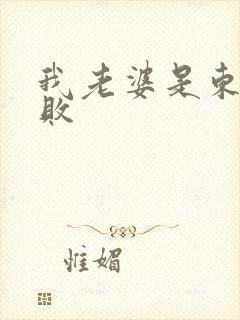 我老婆是东方不败