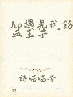 hp遇见我的混血王子