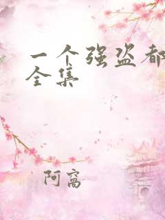 一个强盗都不留全集