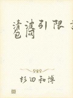清波引 限 书包网