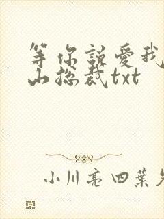 等你说爱我之冰山总裁txt