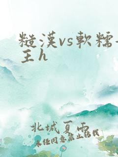 糙汉vs软糯女主h