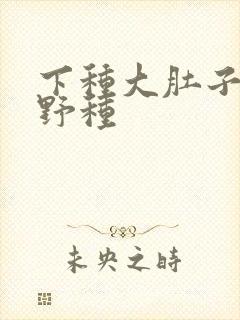 下种大肚子怀孕野种