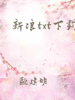 新浪txt下载