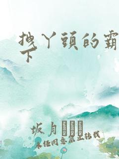 拽丫头的霸道殿下