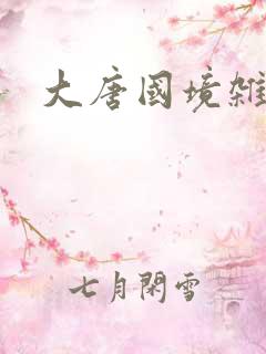 大唐国境杂货店