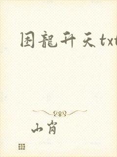 困龙升天txt