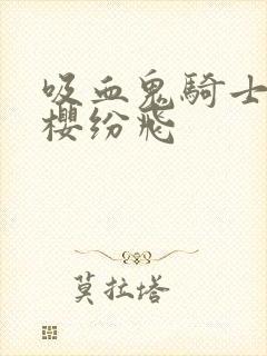 吸血鬼骑士之落樱纷飞