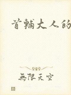 首辅大人的套路