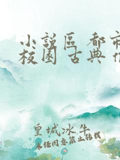 小说区 都市 校园 古典 偷拍