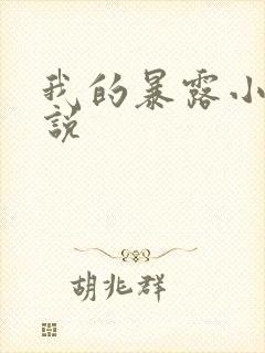 我的暴露小说小说