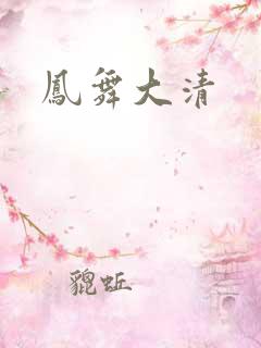 凤舞大清