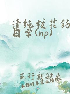 清纯校花的被肉日常(np)
