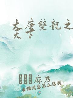 大唐双龙之无敌天下