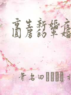 重生新婚夜正在圆房的军婚