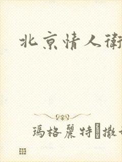 北京情人卫慧